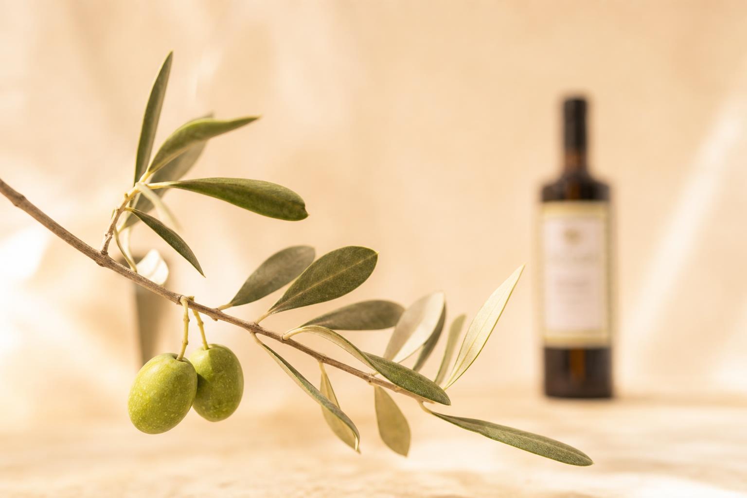 Rama de olivo junto a la botella de Aceite Soleá